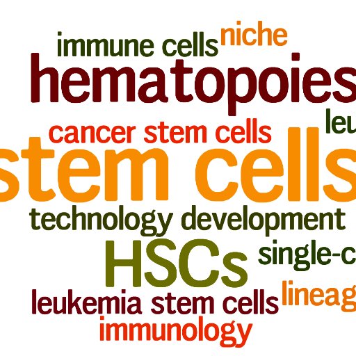 ... interested in fundamental questions of stem cell biology, systems immunology and single-cell technologies