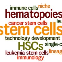 Haas Lab (@haas_lab) 's Twitter Profile Photo Haas Lab (@haas_lab) 's Twitter Profile Photo