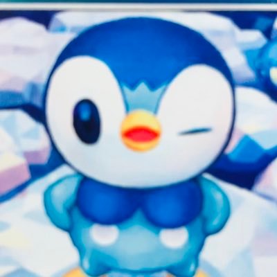 サバゲーとポケカ。アーゴヨンコレクター。でもポッチャマとジュゴンも好き。他も好き。フォロー歓迎。#東西線ポケカ部 #ポケカ #チームAZS #サバゲー
