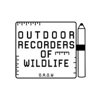 Outdoor Recorders Of Wildlife(@_OROW_) 's Twitter Profile Photo