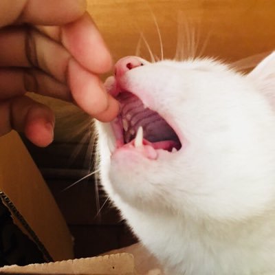 そとさんのプロフィール画像