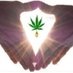 Free Hemp CBD Biz (@PaidToWatchMovi) Twitter profile photo