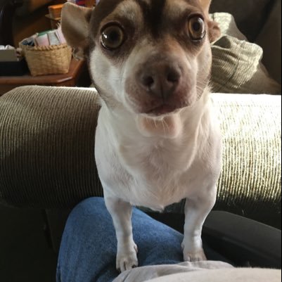 MOSESMIKE16's profile picture. 