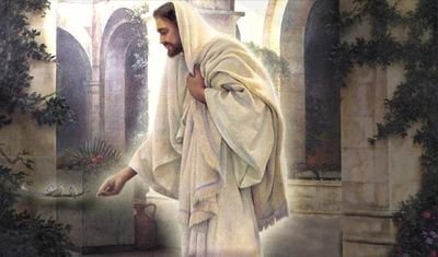 SAMEHAT24155548's profile picture. 