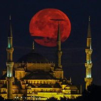 neşat aslan🇹🇷 (@nesataslan) 's Twitter Profile Photo