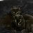 *BLACK CAT BOYS*
