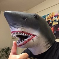 Left Shark! ⭐️⭐️⭐️(@gabrielgriffi14) 's Twitter Profile Photo