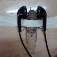 WinneR (@tolgaozmrk) 's Twitter Profile