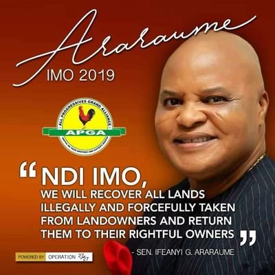 State Treasurer for Liberal Convention in old Imo State (1988-1989)
Senator Representing Imo North (1999-2007)
APGA governorship candidate Imo State (2019)