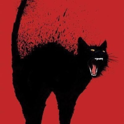 mydung's profile picture. mac ke di dau ve dau ?