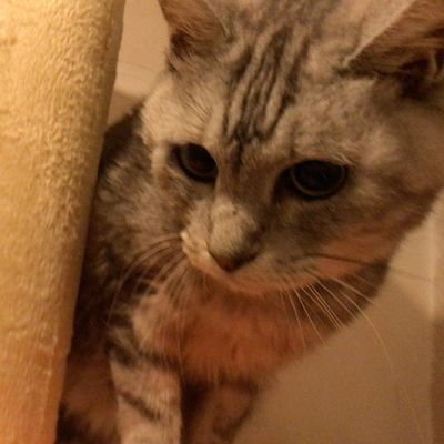働き虫。仕事ばっかしてる。 がむしゃらに仕事してきたけど、そろそろシフトチェンジ。これからは人や社会のために仕事する。 目標は「目指される上司」 保有資格:構造設計一級建築士、一級建築士、二級建築士、木造建築士