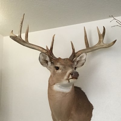 joey20042's profile picture. hunting