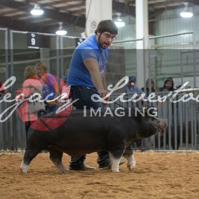 cole_dingman's profile picture. 