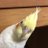 あひるとがちょうのアイコン