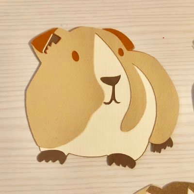 WheekendUpdate's profile picture. 🇳🇵#dumteedum