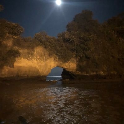 2Alvarin's profile picture. Asesor en propiedad raiz compra y venta.