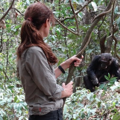 The Leakey Foundation Grantee. Plant-based material cultures in wild chimpanzees. Naturalist. Endurance runner. Childfree by choice.