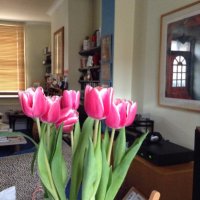 Barbara Ward #FPBE❤️ (@greenwichwriter) 's Twitter Profile Photo