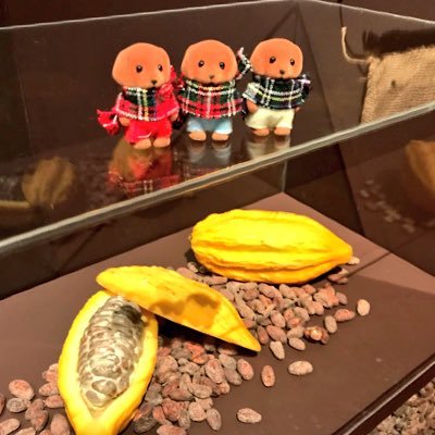 シルバニアファミリー チョコレートラブラドールの赤ちゃんズ 258kto333 Twitter
