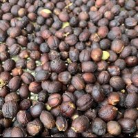 sinsaku (@sinsaku78325080) Twitter profile photo