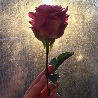 _bestversion_'s profile picture. just Korean girl : drummer : k-pop’er