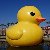 アサカワケーイチ (@keiichi_asakawa) 's Twitter Profile