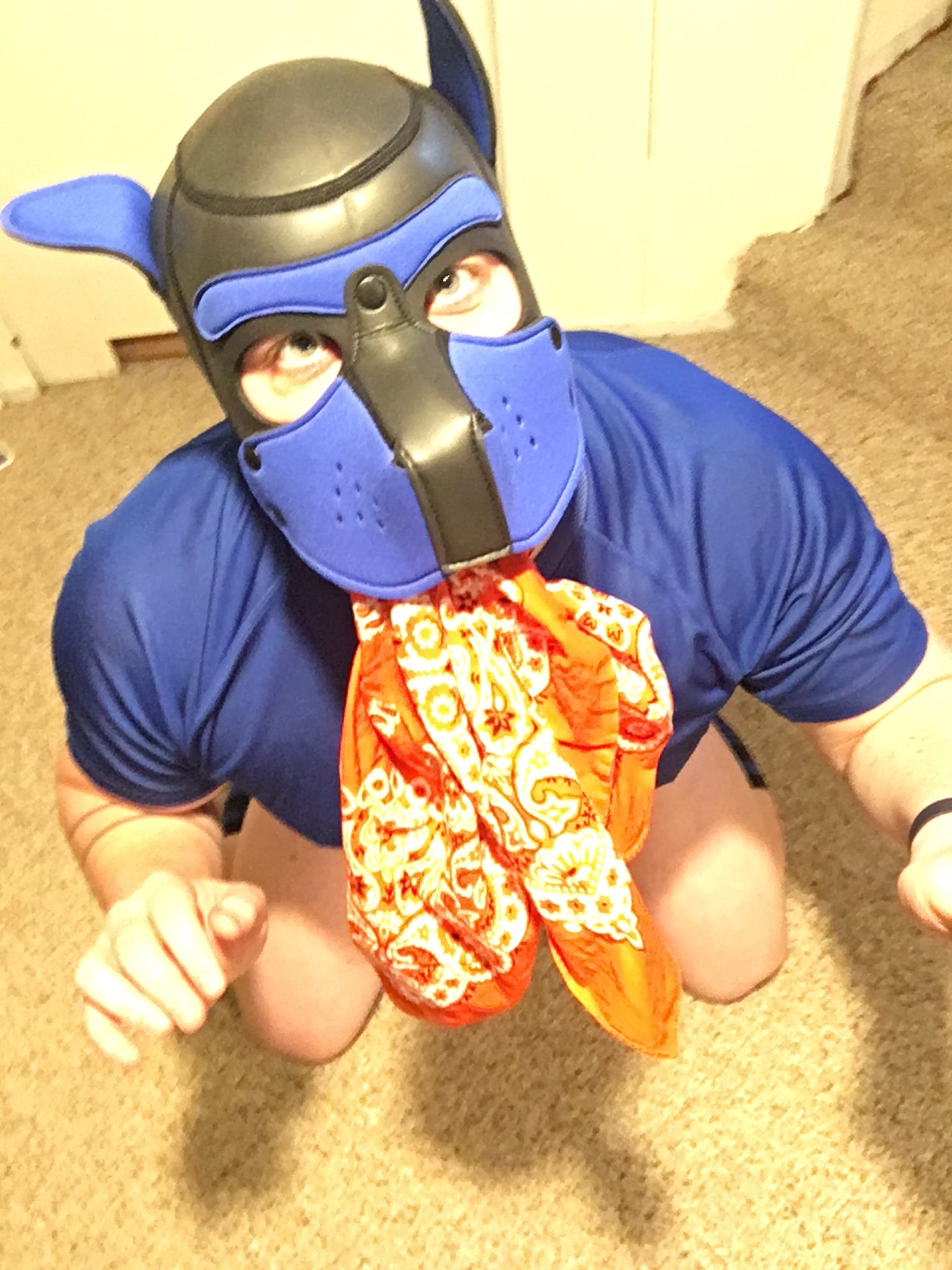 Vers Btm | mid-30s | Kinky Pup, recently moved to the Dallas area.