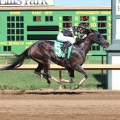 blockneil4's profile picture. started slow and faded