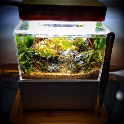 Mini Complete Tank Mini Aquarium On Twitter Where Do You Place