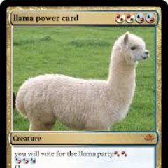 LangLlama Profile Picture