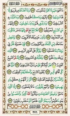 Raymond16490022's profile picture. 