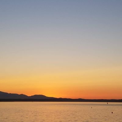 mschoneman58's profile picture. 