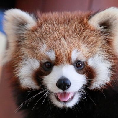 tantanday0615's profile picture. マーベルやアニメが大好きです、格ゲーなどもやります。いろいろなソシャゲなどもやってます。MLB、欧州サッカー等も好きです。カラオケも大好き。よろしくお願いします🙌ツムツム始めました♪ラーメンも大好きです🍜無言フォローすいません(°▽°)