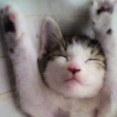 ももたさんのプロフィール画像