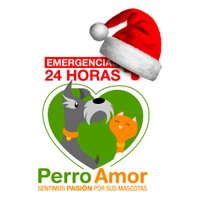 Perro Amor 24Horas(@perroamor24h) 's Twitter Profile Photo