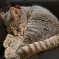 Eva YH Chiu (@evayhchiu) 's Twitter Profile Photo Eva YH Chiu (@evayhchiu) 's Twitter Profile Photo