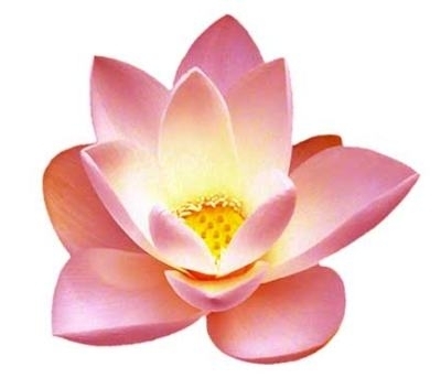 Lootosilusalong's profile picture. 