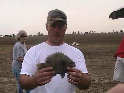 Johnson64786661's profile picture. 