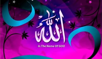 Fatima113355 Profile Picture