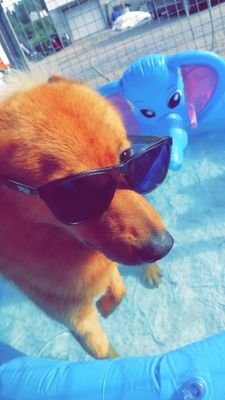 My name is Sid The spetsy.