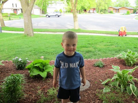 nicolebrueck's profile picture. 