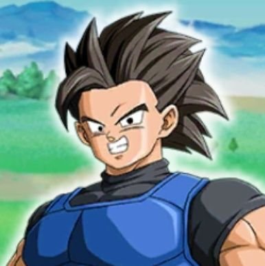 A Saiyan with no memories except for one, the one that tells me to never back down or run from any fight.

[Not affiliated with Dragon Ball Legends]