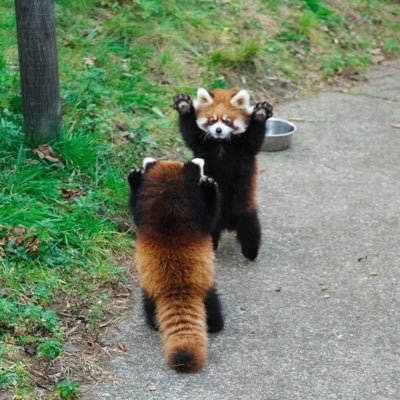 ayama28119974's profile picture. こんにちは😃