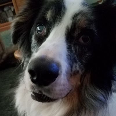 Profile Picture of Tammy (@tammy_keck) on Twitter