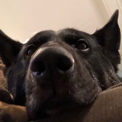 borlo3434's profile picture. 