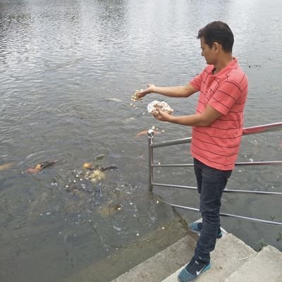 Reface15's profile picture. 