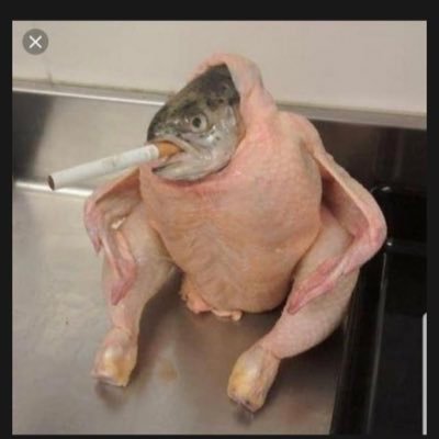 imaburrito1's profile picture. hey, i like creepypastas, so thats why i have twitter