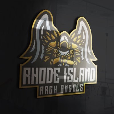 Official Twitter of the competitive pro am team Rhode Island Arch Angels. We are a part of the ADG league. GM: @Huraii_