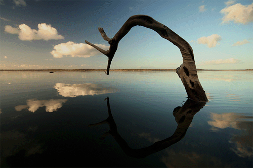 pixgalaxy's profile picture. 