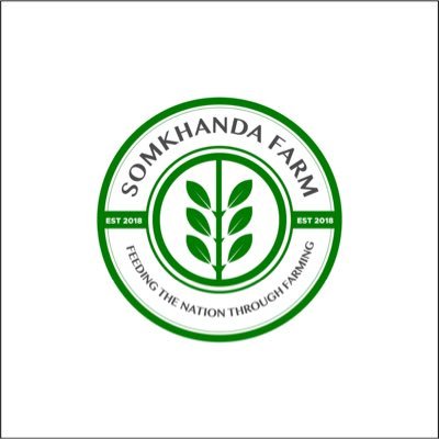 Somkhanda Farm🚜, Division under Somkhanda T Group -Feeding the nation through farming .📞0710092794📧somkhandafarm@gmail.com